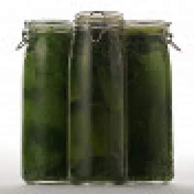 Крапивно-огуречные огурцы