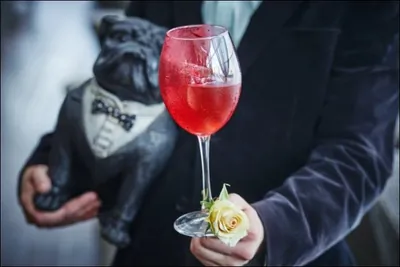 Коктейль Keanu Spritz