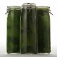 Крапивно-огуречные огурцы