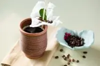 Коктейль «Нежный шелк»