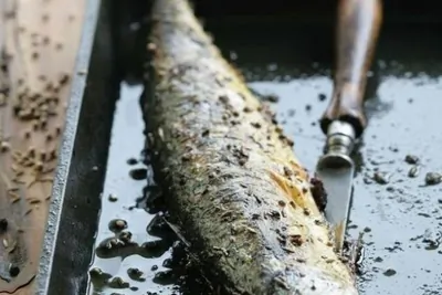 Жареная скумбрия с пряностями