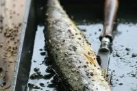 Жареная скумбрия с пряностями
