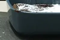 Тыквенный клафути с какао