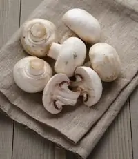 Вегетарианский крем-суп из шампиньонов с мятой