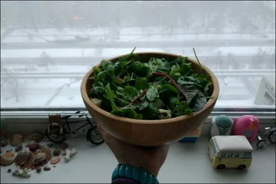 Легкий салат с медово-лимонной заправкой