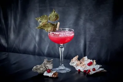 Коктейль «Клюквенные мысли»