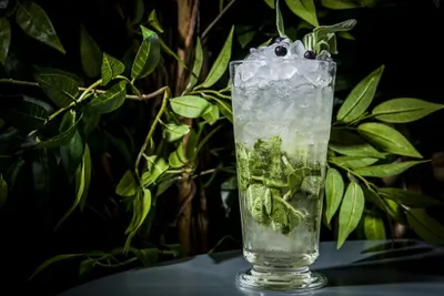 «Орегано физз»