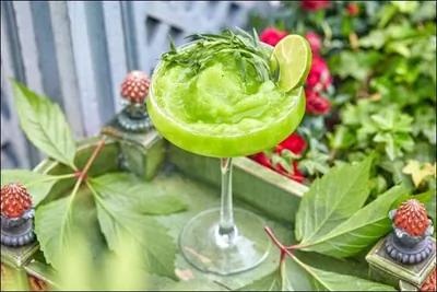 Освежающий лимонад «Тархун»