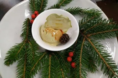 Яблочный сорбет из яблочного фреша