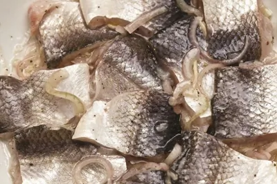 Малосол (сугудай)