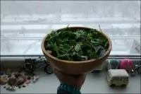 Легкий салат с медово-лимонной заправкой