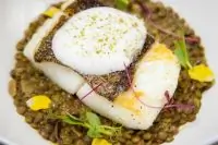 Палтус с чечевичотто