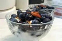 Десерт из йогурта с голубикой и пророщенной пшеницей