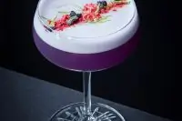 Chinese Garden/Китайский сад