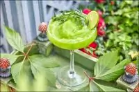 Освежающий лимонад «Тархун»