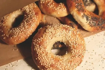 Домашние бейглы