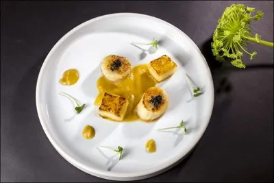 Гребешок с печеной дыней