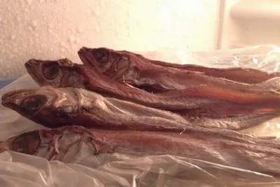 Вяленая рыба (путассу)