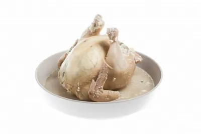 Тутырган тавык