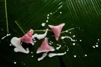 Дим-сам с вишней