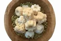 Сливочный сахар