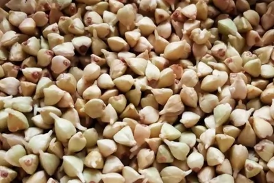 Пророщенная зеленая гречка