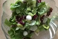 Салатные листья с моцареллой