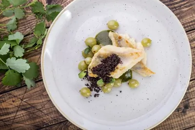 Судак с ткемали из моченого крыжовника