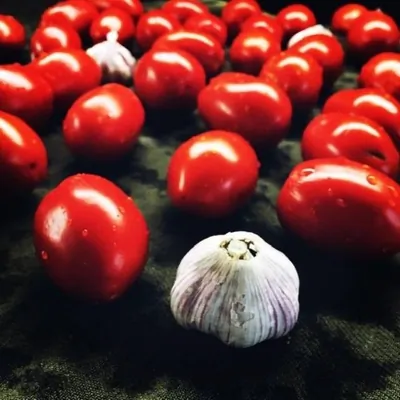 Вяленые томаты с базиликам и чесноком