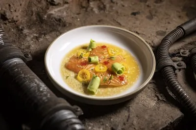 Севиче из лосося с соусом шисо и кумкватом