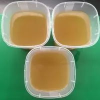 Золотистый куриный бульон