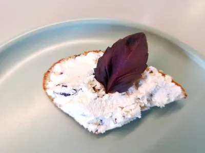 Сыр филадельфия с красным базиликом