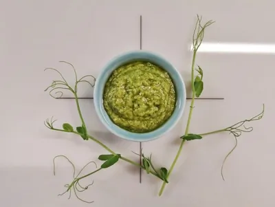 Песто из микса микрозелени