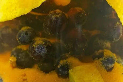 Моченый виноград по-кубански