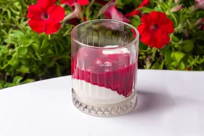 Кисель-гато