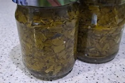 Щавель на зиму