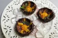 Морские ежи